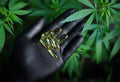 CBD et Récupération : Ce Que La Science Dit Vraiment