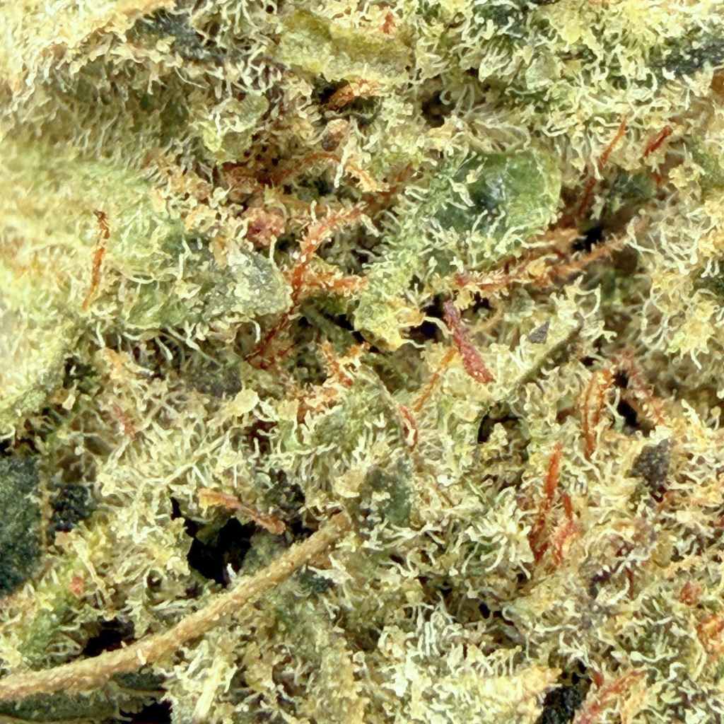 Tropical Kush - 60% THCX