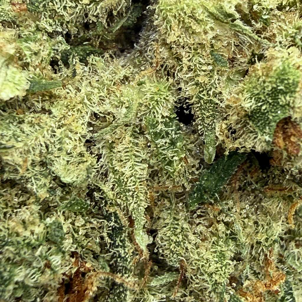 Amnesia Haze - 60 % THCX