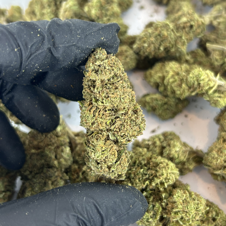 Blueberry – GlassHouse Premium