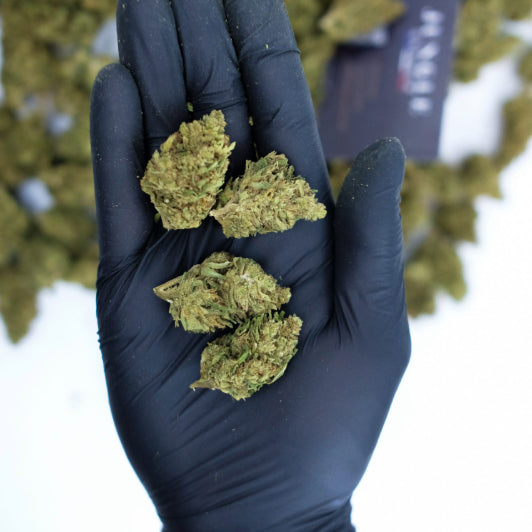 Cannatonic – Outdoor (Small Bud)