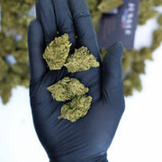 Cannatonic – Outdoor (Small Bud)