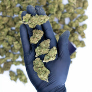 Gorilla Glue CBD – Greenhouse