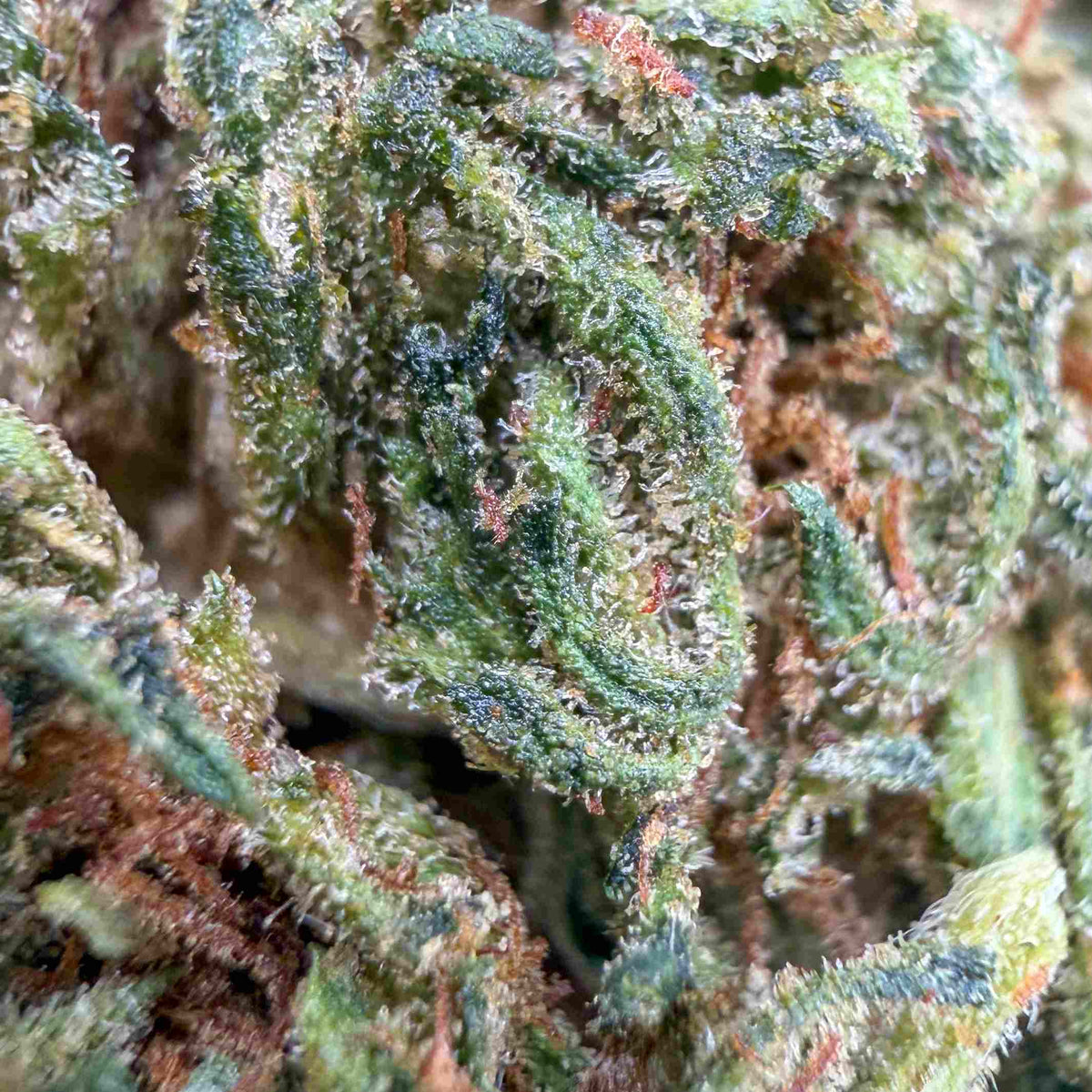 Cosmic Cookie - 60% THCX