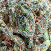 Cosmic Cookie - 60% THCX