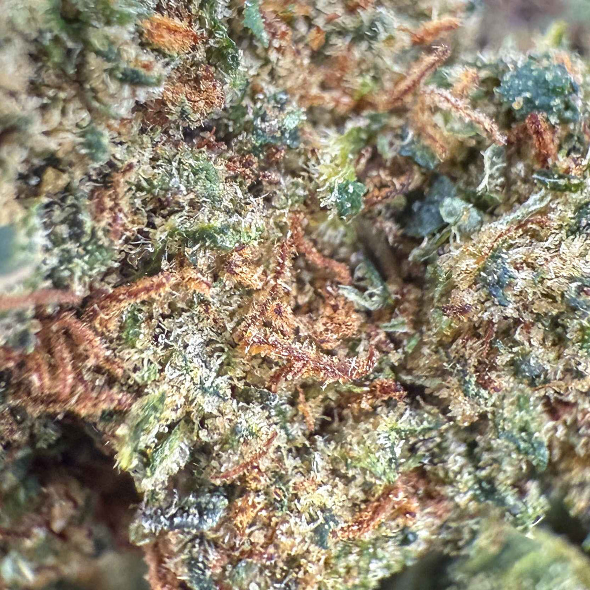 Cannatonic - 60% THCX