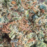 Cannatonic - 60% THCX